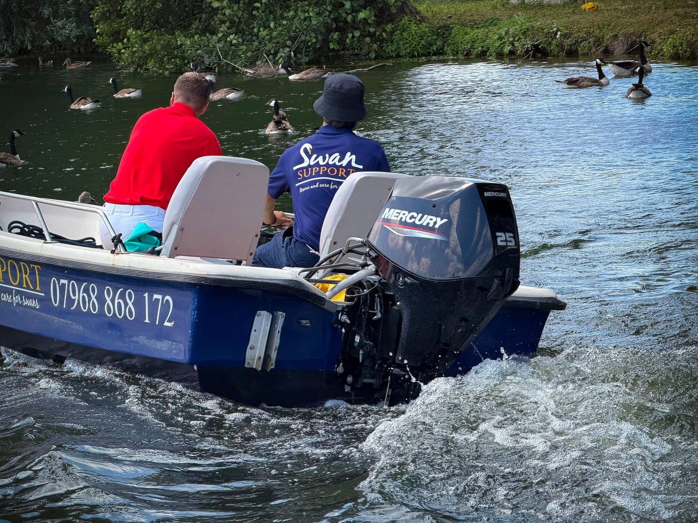 Barrus Supports Historic Swan Upping Census on the River Thames