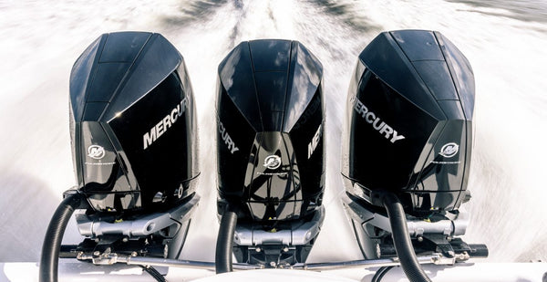 What Happens During a Mercury Winter Service?